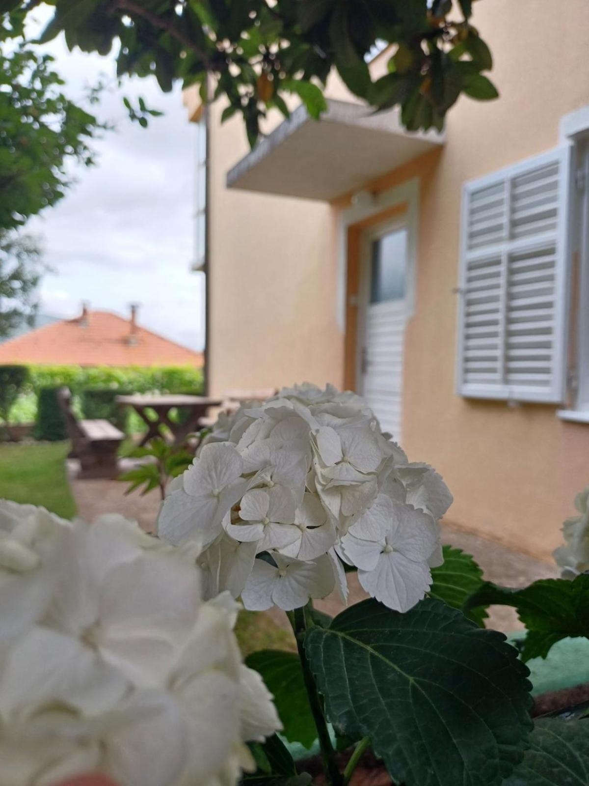 Apartments For Friends Требинье Экстерьер фото