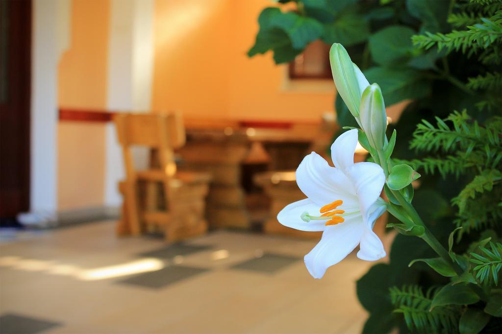 Apartments For Friends Требинье Экстерьер фото